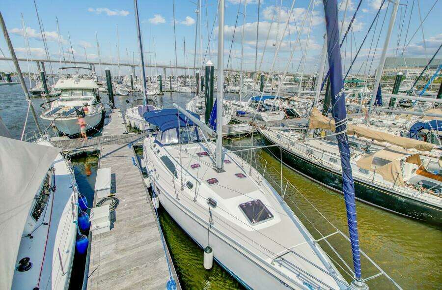 2011 Catalina 445