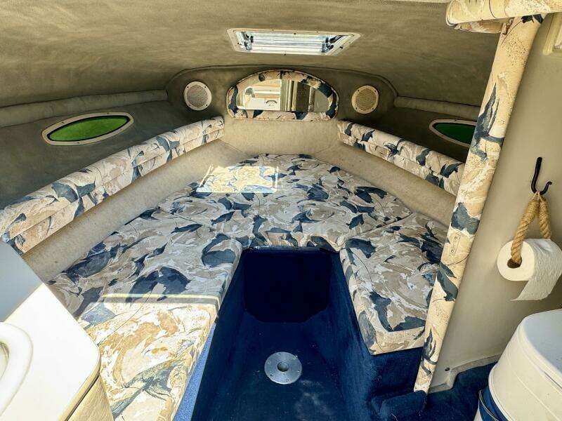 1999 Sea Ray 215 Express Cruiser