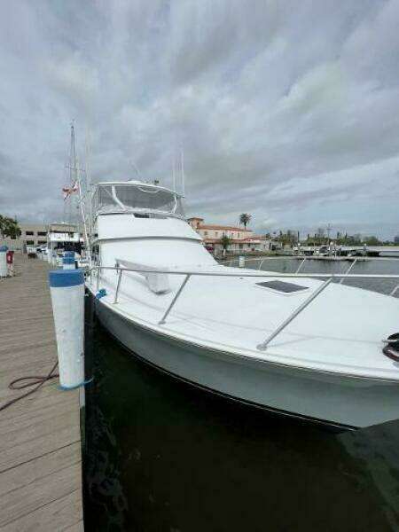 1991 Viking Boats Convertible