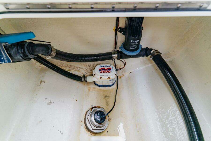 2024 Costa Custom 34 SV