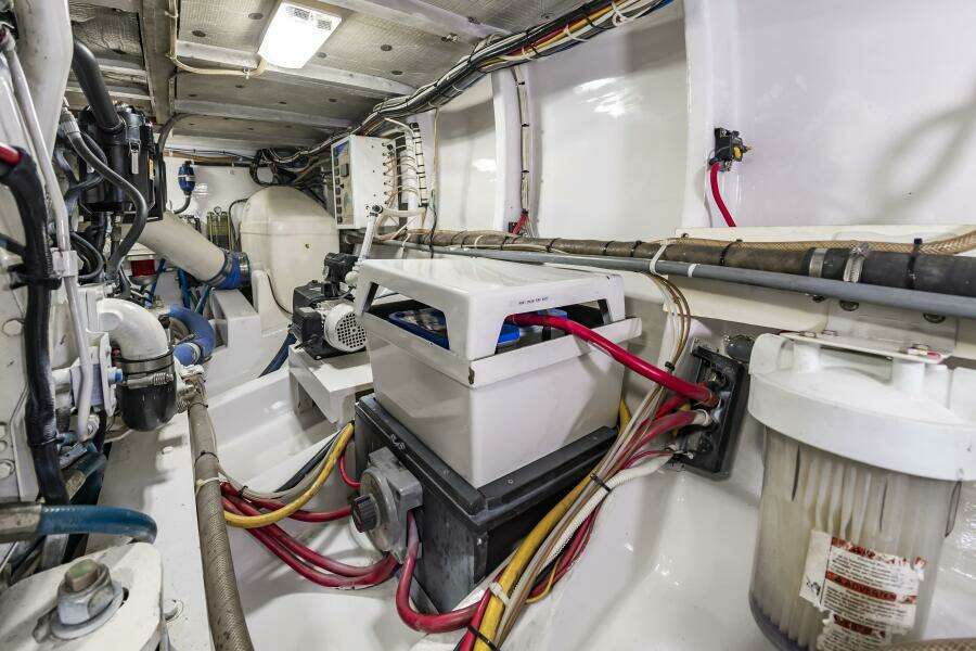 54JarrettBaySeaJunkie071