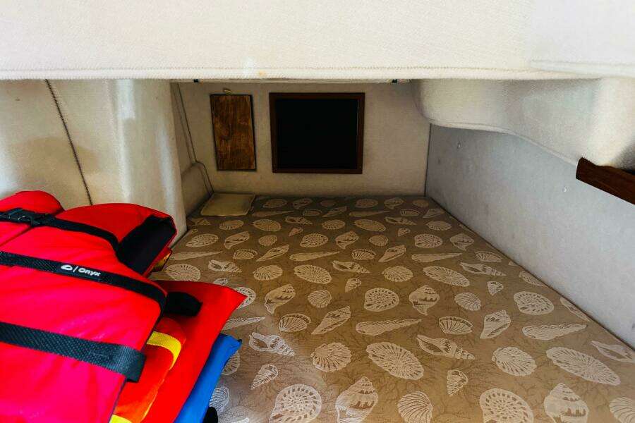 2013 Ranger Tugs R-31