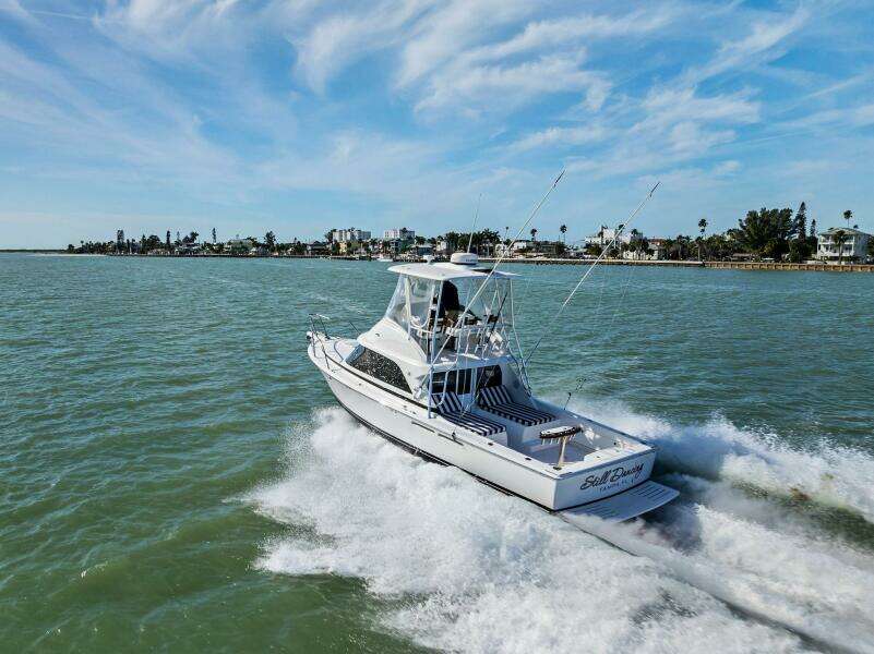 2017 Bertram 35 Flybridge