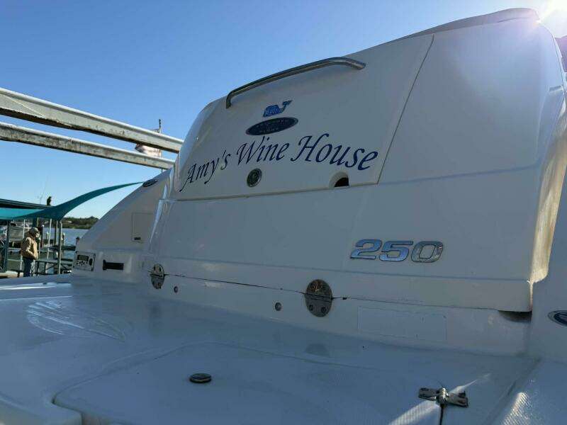 2008 Chaparral 250 Signature