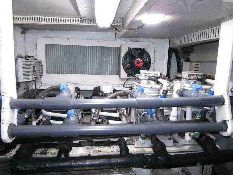 New A/C Plant