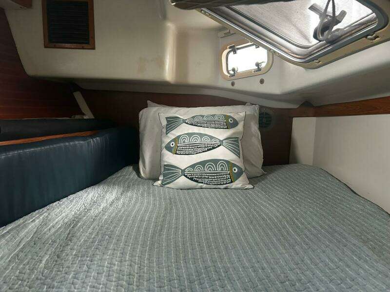 1999 Catalina 42 MKII