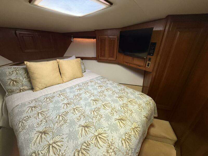 Viking 45 - Wild Life