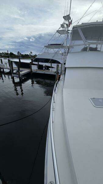 Viking 45 - Wild Life