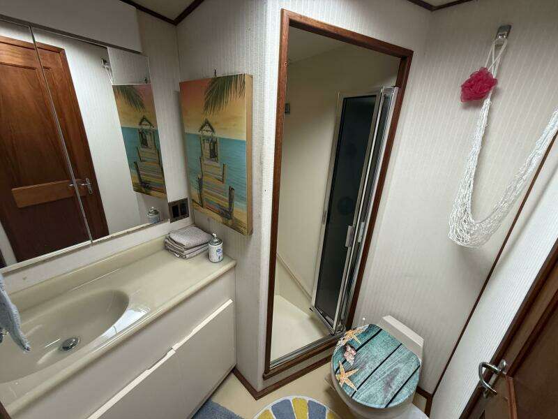 Viking 45 - Wild Life