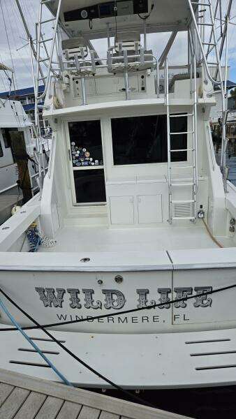 Viking 45 - Wild Life