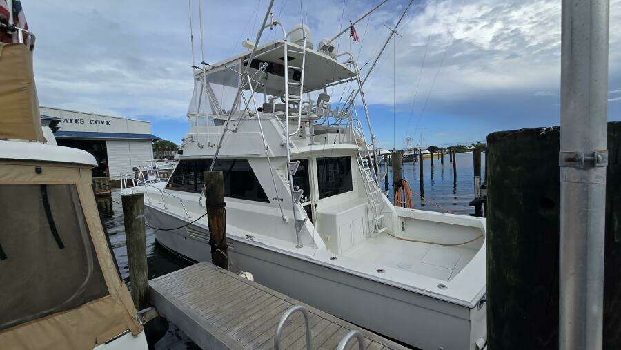 Viking 45 - Wild Life