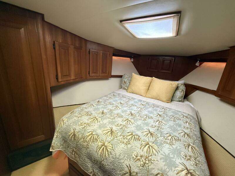 Viking 45 - Wild Life