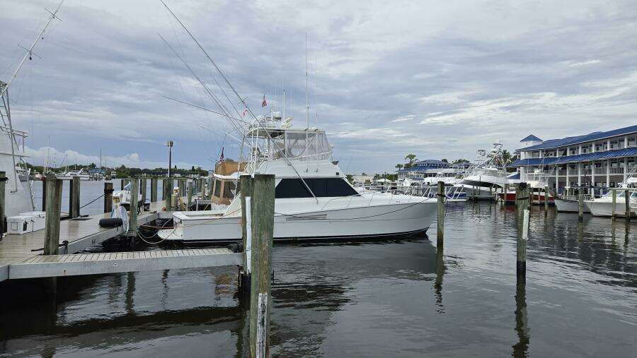 Viking 45 - Wild Life