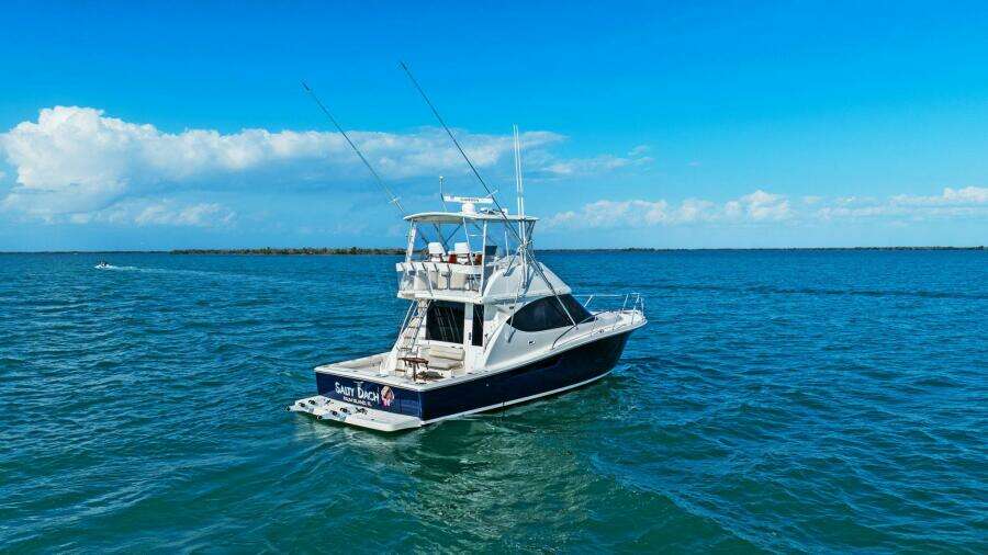 2013 Tiara Yachts 3900 Convertible - Profile 