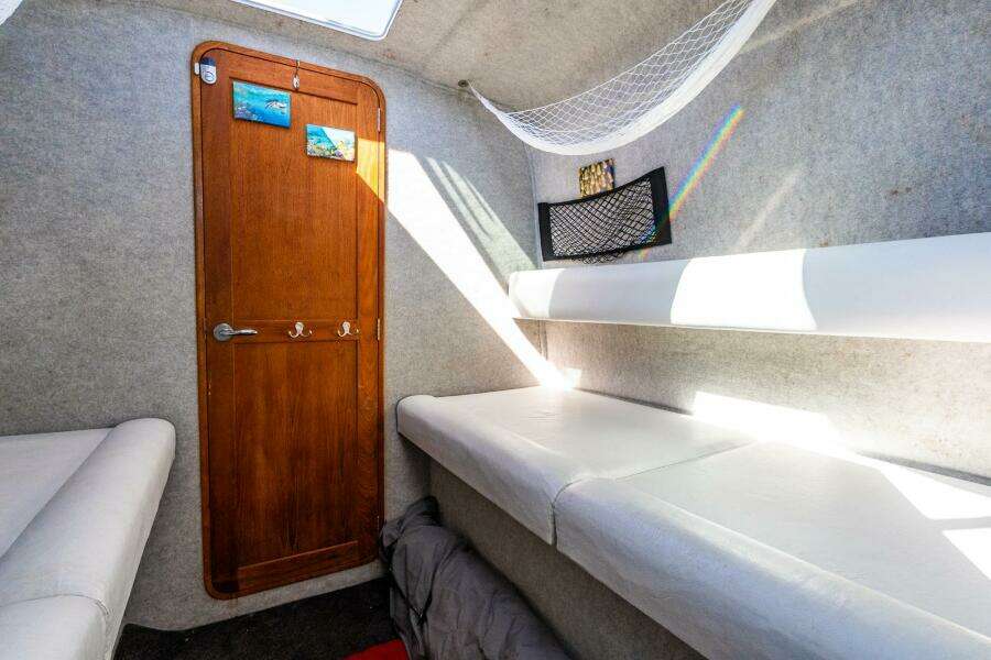 2002 Protector 410 Targa