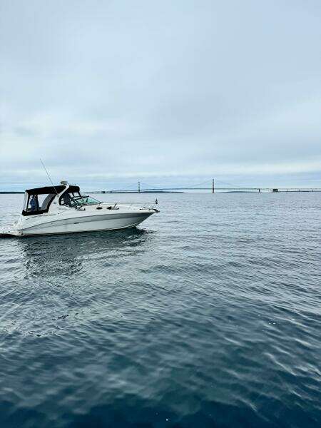 2006 Sea Ray 320 Sundancer