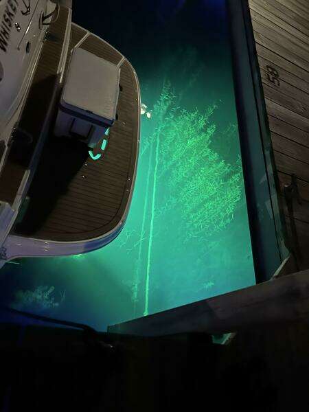 2006 Sea Ray 320 Sundancer