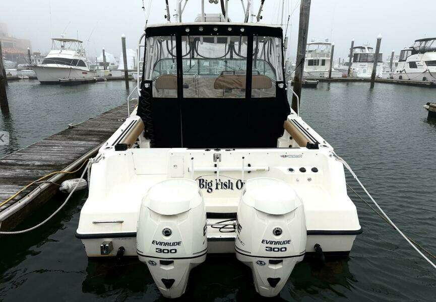 1999 Wellcraft 290 Coastal