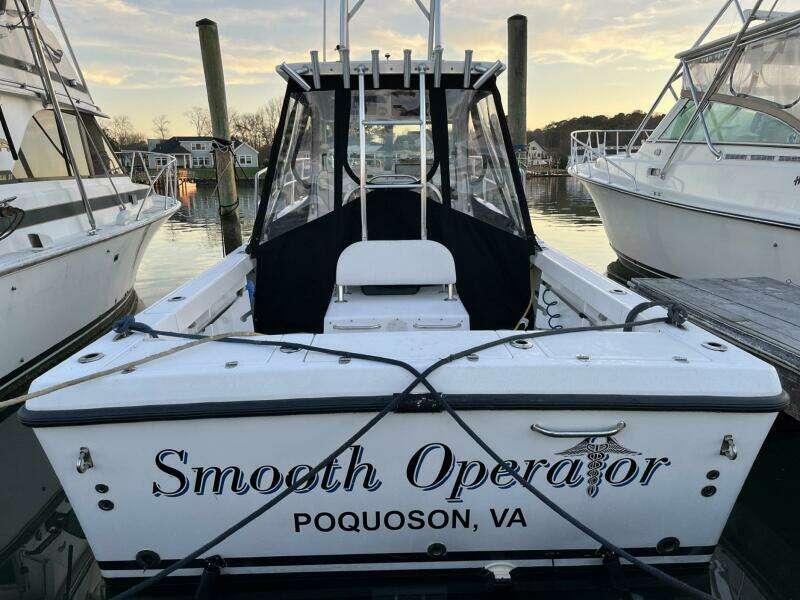 2008 True World Marine TE2810