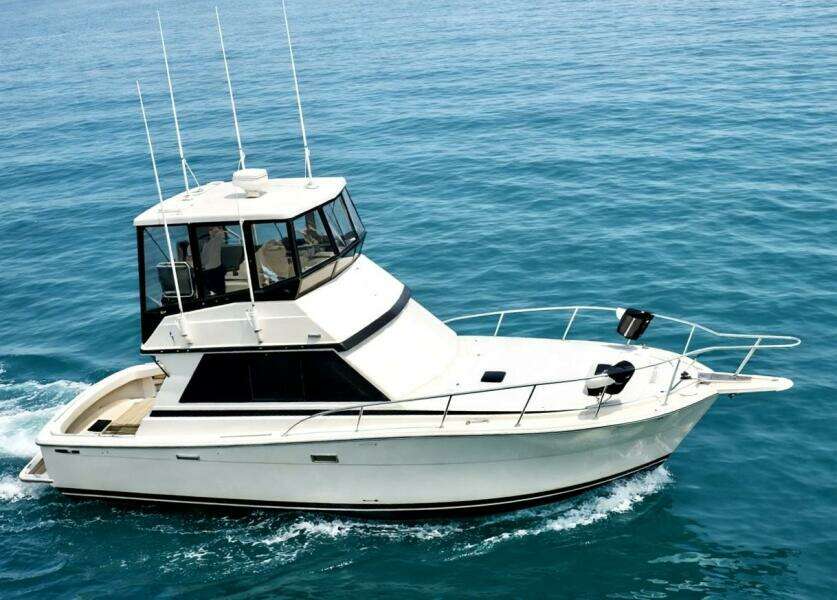 1986 Viking Convertible