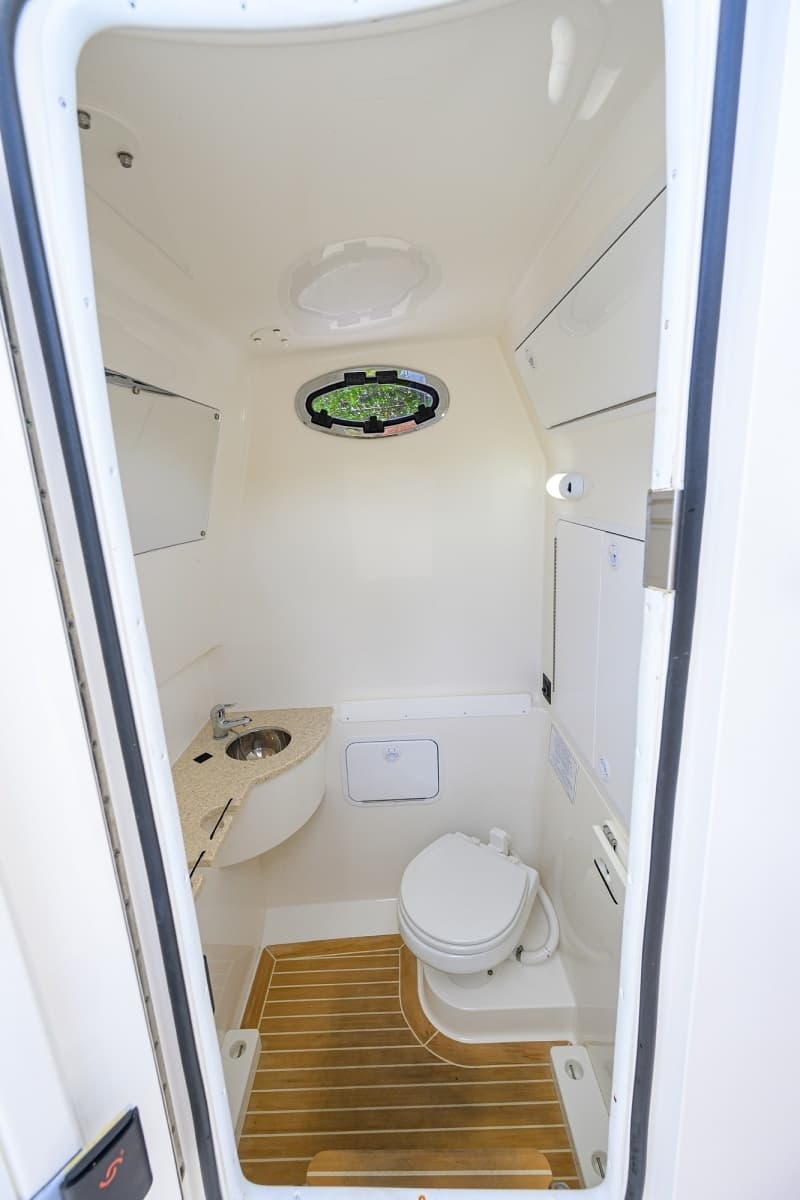 Regulator 31   Sweet Melissa - Day Head