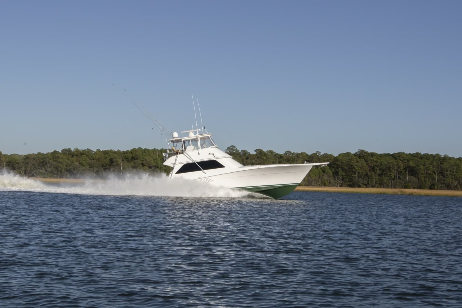 Viking 5- Lady S - Exterior Profile