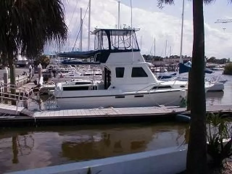 1995 Sportfish Custom