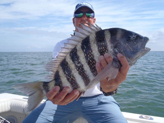 Looking to Catch Fish in Tampa Bay?